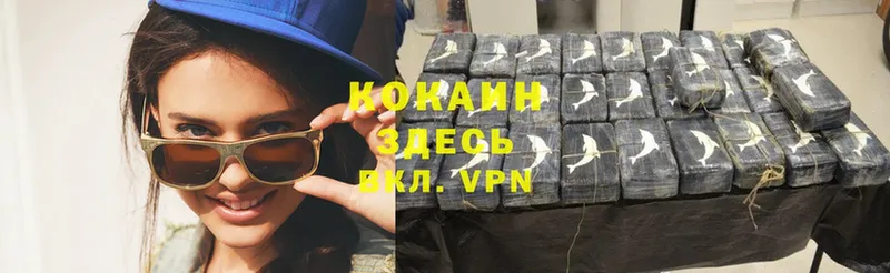 darknet состав  Струнино  Cocaine FishScale 